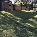 Lone Star Turf and Landscape LLC - Sod & Sodding Service