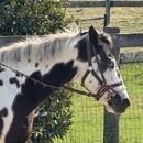 Flying W Ranch - Stables