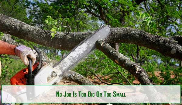 Riverina Tree Services - Leeton, NSW. No Job Is Too Big Or Too Small