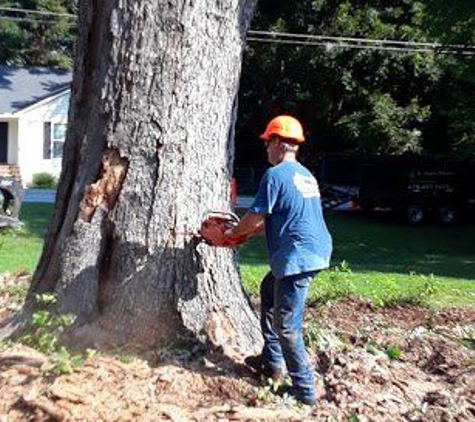 DeMar Tree Service & Landscaping - Saint Charles, IL