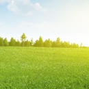 Johnson's Lawn Service - Gardeners