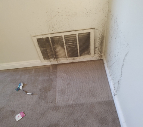 Dust Bunnies of Orange County. A little while since the vents have been cleaned!
