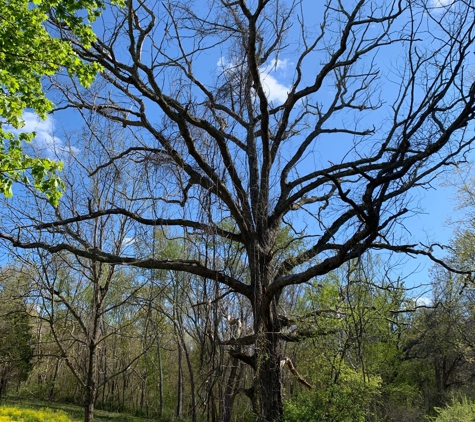 Caratunk Wildlife Refuge - Seekonk, MA