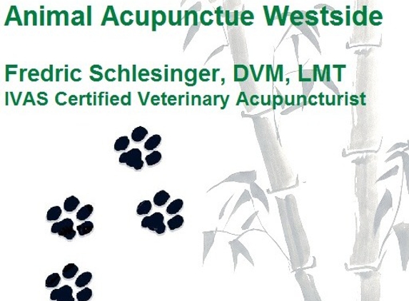 Animal Acupuncture Westside - Albuquerque, NM