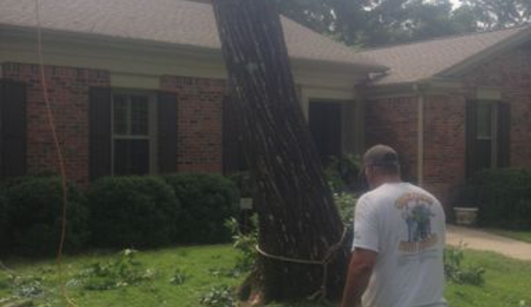 Top Notch Tree Service - Huntsville, AL