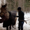 Clover Acres Livestock Veterinary Services gallery