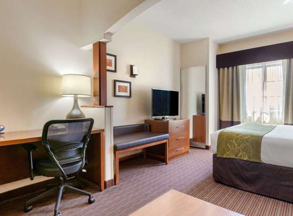 Comfort Suites - Stevensville, MI