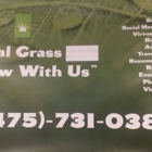 Social Grass