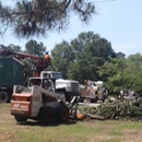 Kingdom Tree and Hauling Service - Tree Service