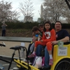 Nonpartisan Pedicab gallery