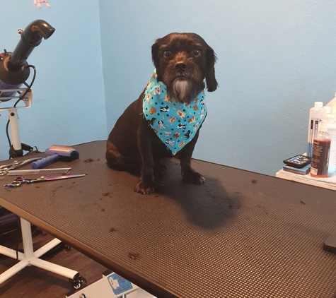 A Pups Dream Dog Grooming - Long Beach, CA