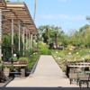 Treeland Nurseries gallery