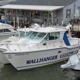 Wallhanger Charters