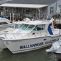 Wallhanger Charters