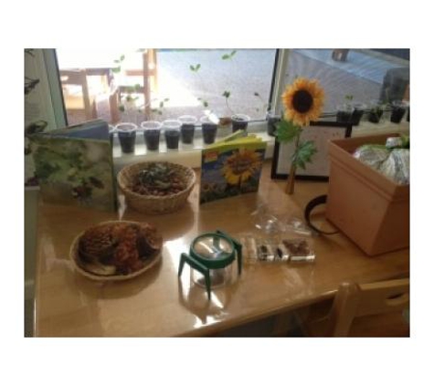 Wagga Wagga Early Years Learning Centre - Glenfield Park, NSW