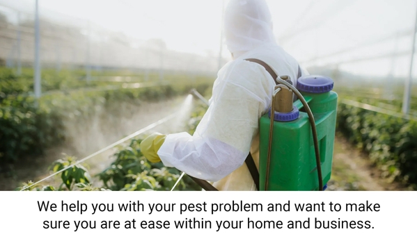 Coastal Pest Control - Romaine, TAS. We help you with your pest problem and want to make sure you are at ease within your home and business.