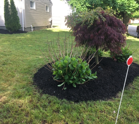 Granados Landscaping - Cranston, RI