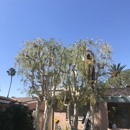 Rojas Tree Service - Tree Service