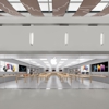 Apple Store gallery