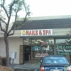T Nails & Spa gallery
