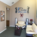 Elite Medical Laser Clinics - Hair Removal