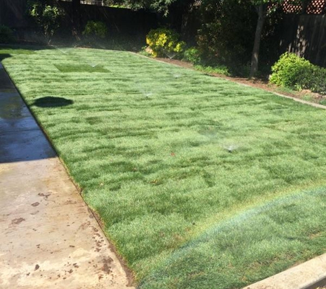 Picture Perfect Lawn - Fresno, CA