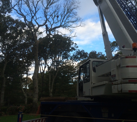 DC Tree Services - Osterville, MA