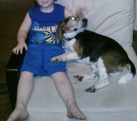 Mom & Tot Pet Sitting - Germantown, TN