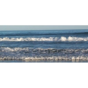 Gallery Image Number 1