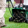 Stockton Lawn Care Service