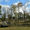 East TN Tree Service gallery