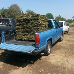 THE VALLEY SOD FARM INC - North Hills, CA