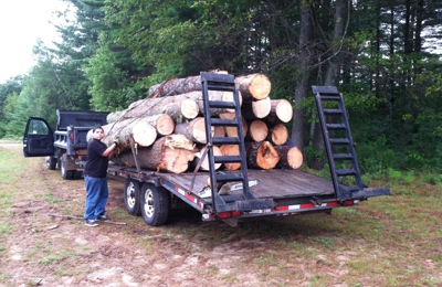 Mitchell Sons Logging Firewood Bridgton Me 04009 Yp Com