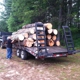 Mitchell & Sons Logging & Firewood