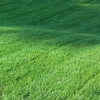 Yard Ace Lawn Care gallery