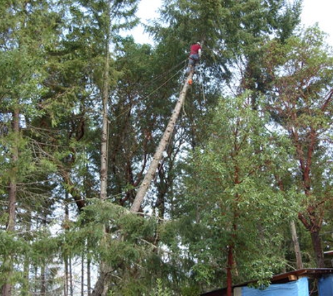 Mike's Pruning and Tree Care - Portland, OR