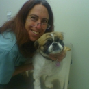 Spring Valley Animal Hospital - Veterinarians