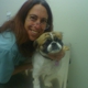 Spring Valley Animal Hospital