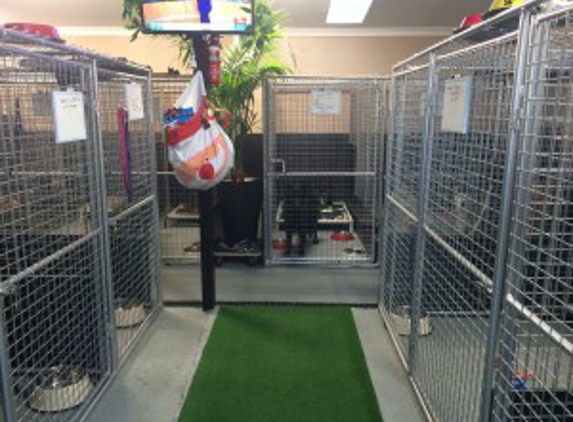 Whispering Pines Dog Training & Boarding Centre - Parkesbourne, NSW. Our comfortable indoor pens