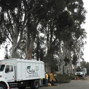 So Cal Tree Care Inc. - Escondido, CA