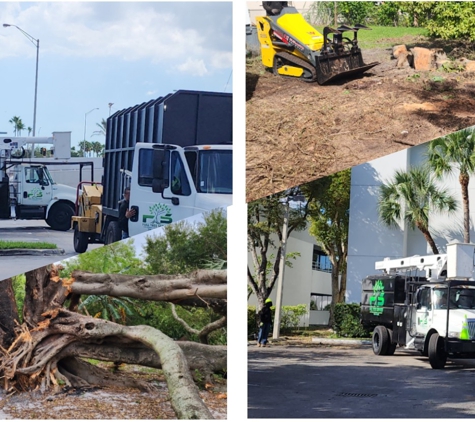 Full Tree Services - Davie, FL. 24hrs Emergency Tree Service