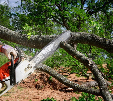 Tope's Tree Service - Carmel, CA