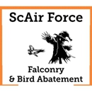 ScAir Force Falconry & Bird Abatement - Bird Barriers, Repellents & Controls