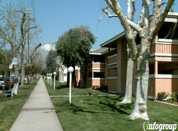 Newport Terrace Apartments - Upland, CA