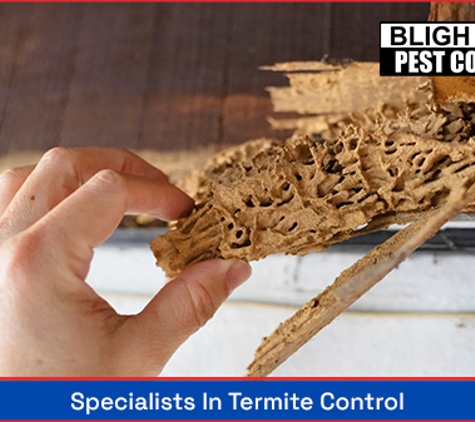 Bligh Park Pest Control - South Windsor, NSW. Specialists In Termite Control