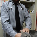 Alta Animal Hospital - Veterinarians