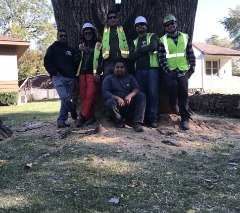 Eddy's Tree Service - Lake Villa, IL