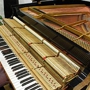 Bill Reeder Piano Tuning & Repair