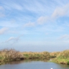 St Johns National Wildlife Refuge gallery