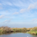 St Johns National Wildlife Refuge - Parks